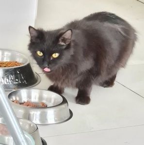 Meet your Posher, Melanie